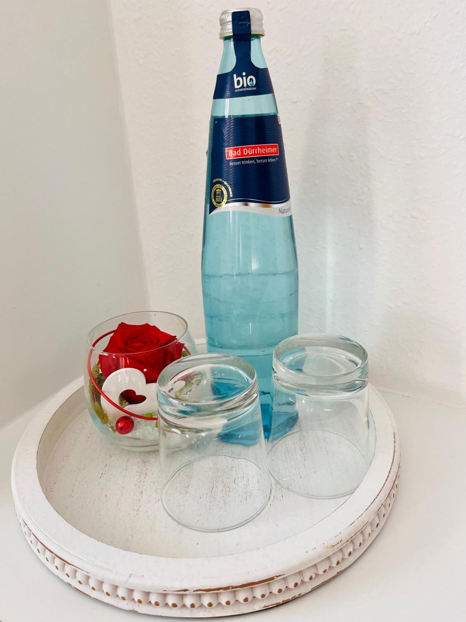 Apartment Boutique Lenzkirch